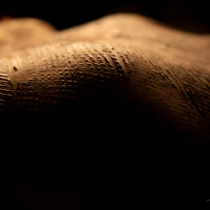 embocer