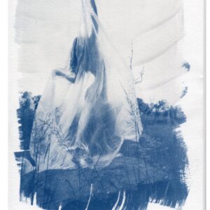 apotheosis of the forgotten