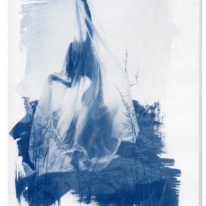 apotheosis of the forgotten II