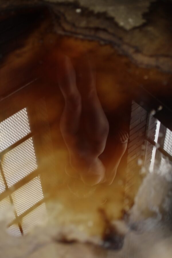 incident light