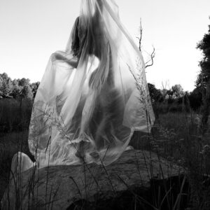 apotheosis of the forgotten
